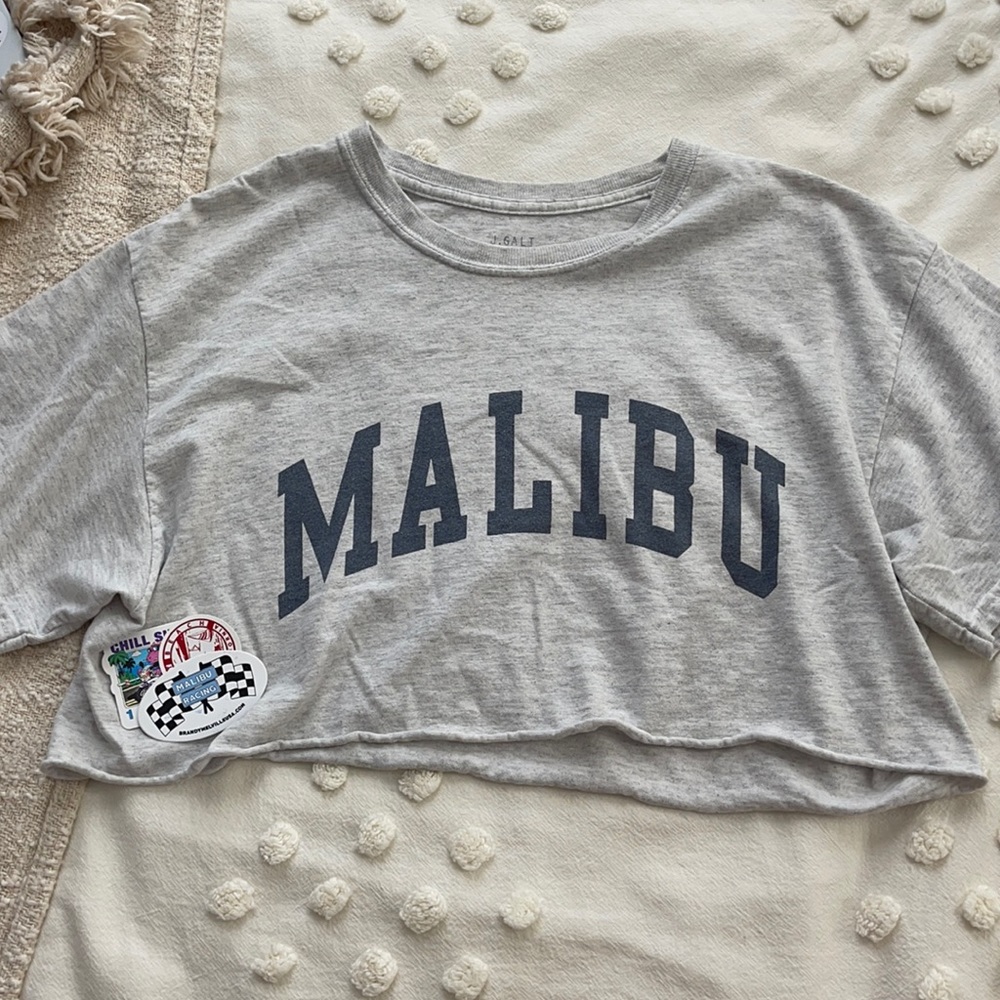 brandy melville malibu cropped tee